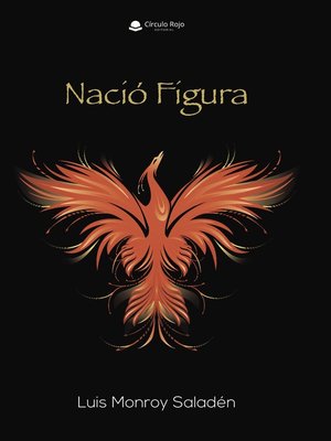 cover image of NACIÓ FIGURA